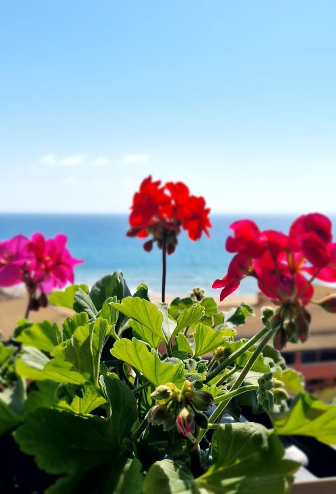 Appartement Seablue 137 Corfu Glyfada (Corfu)